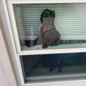 Meet your Posher, Diane